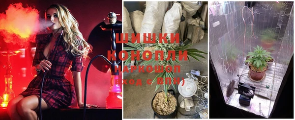 мяу мяу мука Армянск