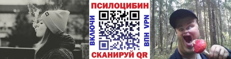 Псилоцибиновые грибы Cubensis  Урюпинск 