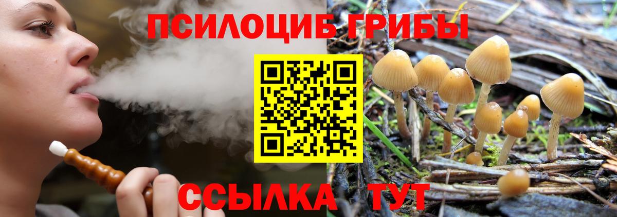 Урюпинск  Псилоцибиновые грибы GOLDEN TEACHER  Вход с VPN 